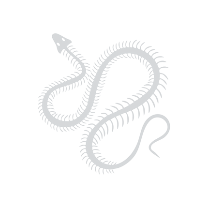 Collection image for: Bones