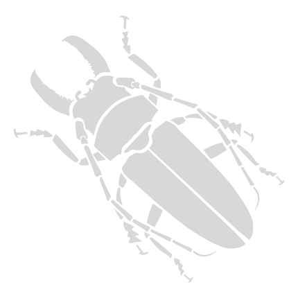 Collection image for: Framed bugs