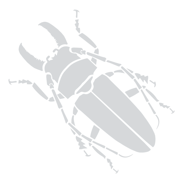 Framed bugs