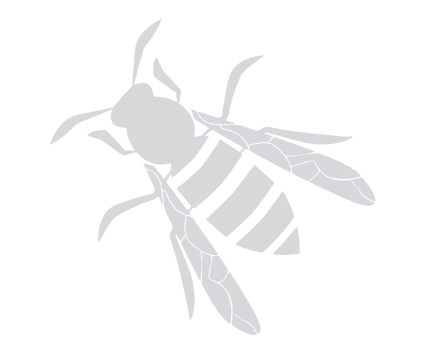 Framed other creatures – The Insectrum Company
