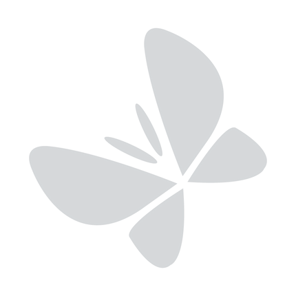 Collection image for: Framed moths