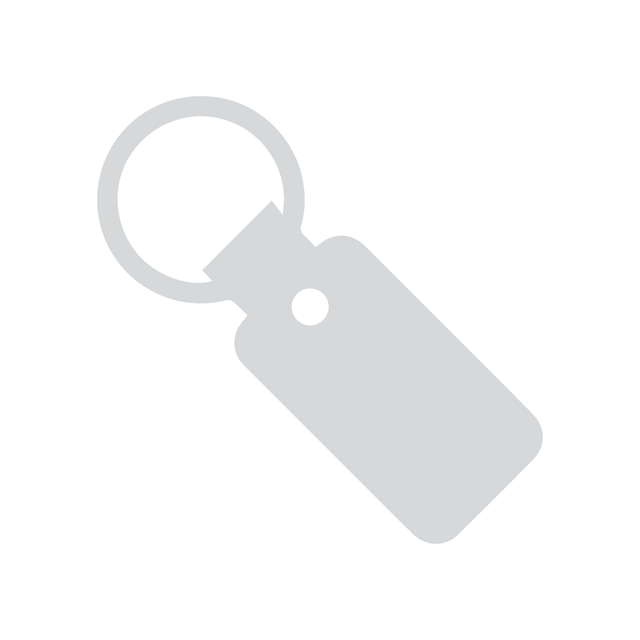Bugs in resin Keyrings
