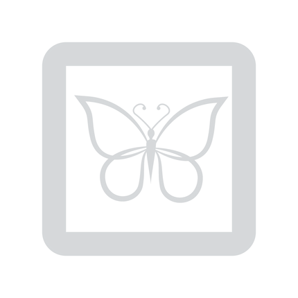 Collection image for: Bugs in resin