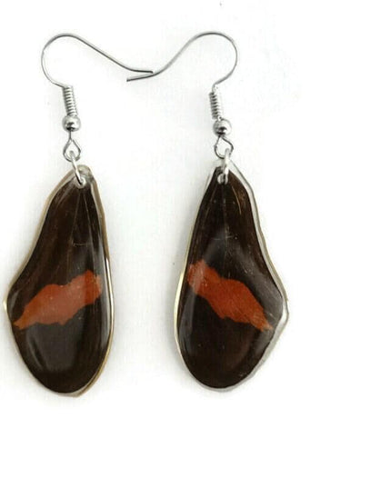 Real butterfly wing earrings: heliconius erato, red postman