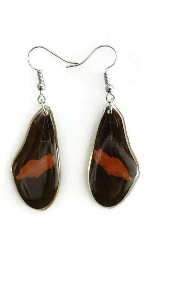 Real butterfly wing earrings: heliconius erato, red postman