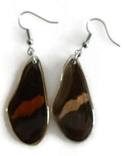 Real butterfly wing earrings: heliconius erato, red postman