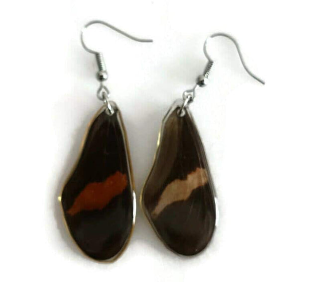 Real butterfly wing earrings: heliconius erato, red postman
