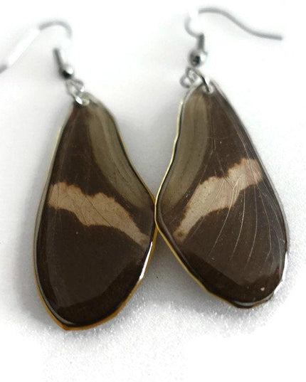 Real butterfly wing earrings: heliconius erato, red postman