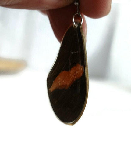 Real butterfly wing earrings: heliconius erato, red postman