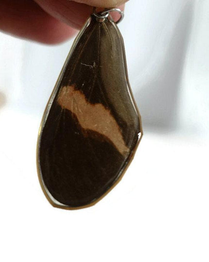 Real butterfly wing earrings: heliconius erato, red postman