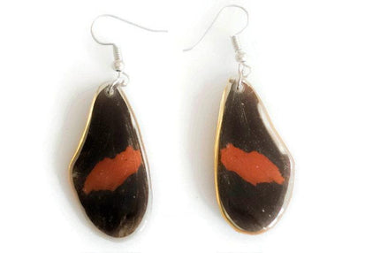 Real butterfly wing earrings: heliconius erato, red postman
