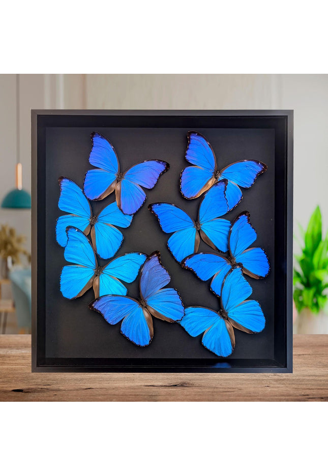 Framed Iridescent Blue Morpho Butterfly Mosaic, Ethically Sourced, 16" x 16"