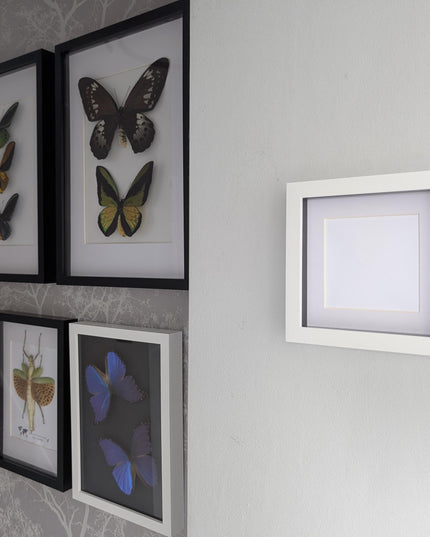 6x6 white 3d box photo frame: shadow display with mount