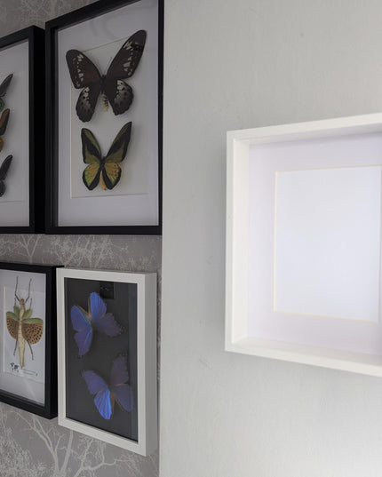 White 3d deep box photo frame: 8x10 shadow box display