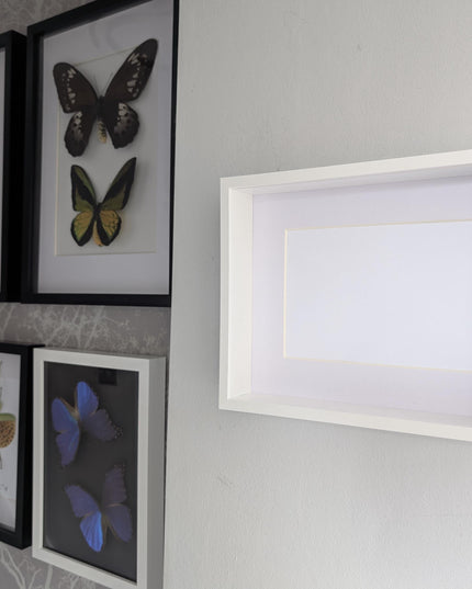 White 3d deep box photo frame: 8x10 shadow box display