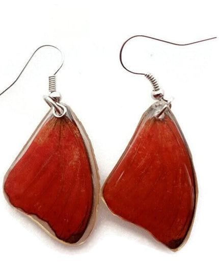 Cymothoe sangaris, the blood-red glide, bright red small real wings earrings, butterfly wings resin work