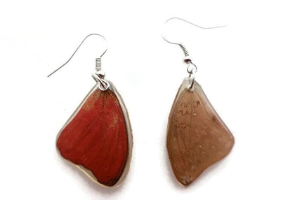 Cymothoe sangaris, the blood-red glide, bright red small real wings earrings, butterfly wings resin work