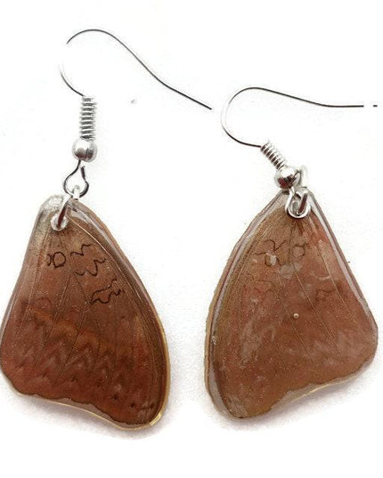 Cymothoe sangaris, the blood-red glide, bright red small real wings earrings, butterfly wings resin work