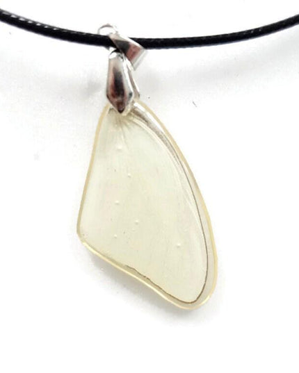 Real butterfly wing jewelry set: resin earrings & necklace