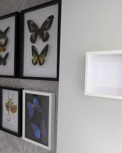 6x6 white 3d box photo frame: shadow picture frame with mount