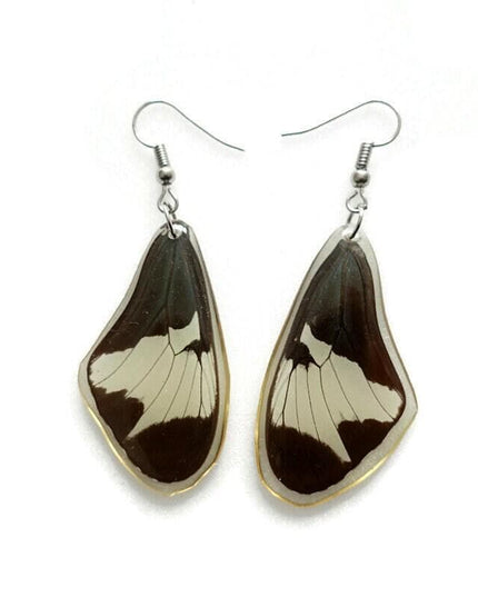 Real butterfly wing earrings: resin coated, hypoallergenic hook