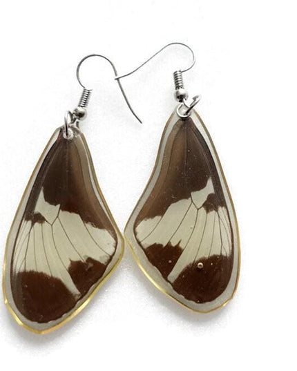 Real butterfly wing earrings: resin coated, hypoallergenic hook