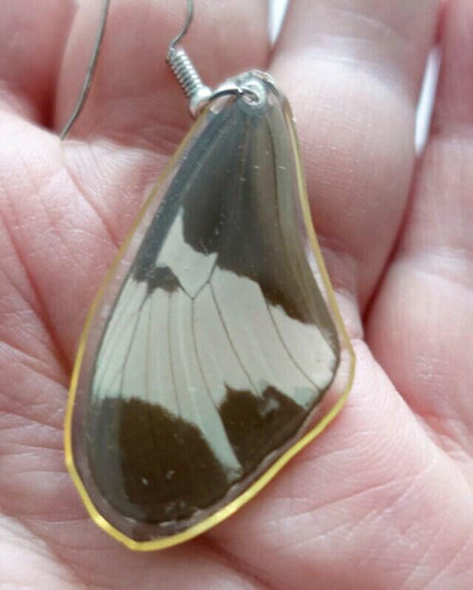 Real butterfly wing earrings: resin coated, hypoallergenic hook