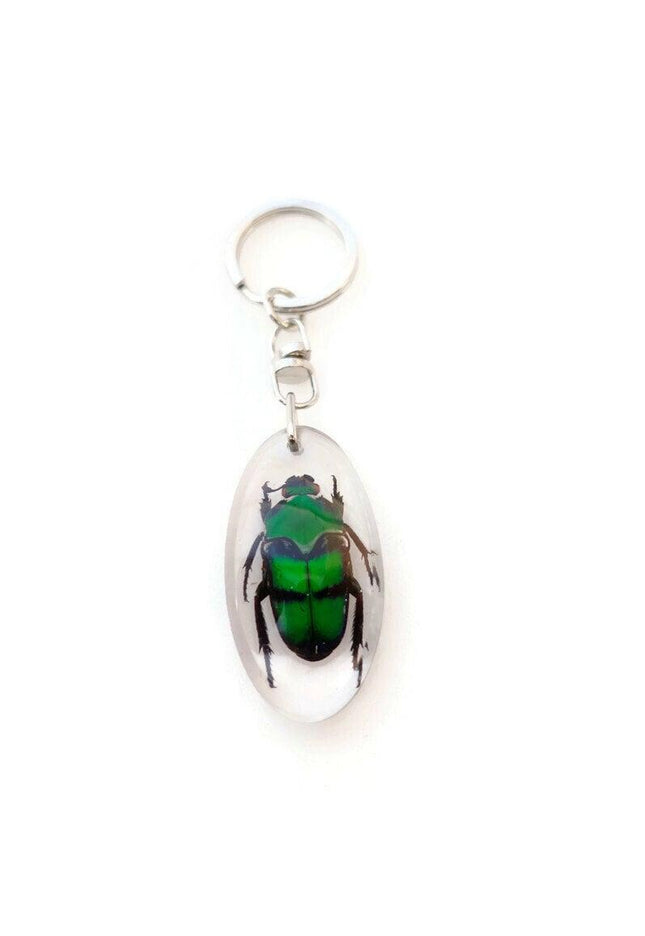 Green stripey beetle resin keyring: ischiopsopha bifasciata keychain