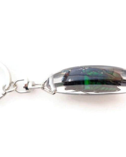 Green stripey beetle resin keyring: ischiopsopha bifasciata keychain