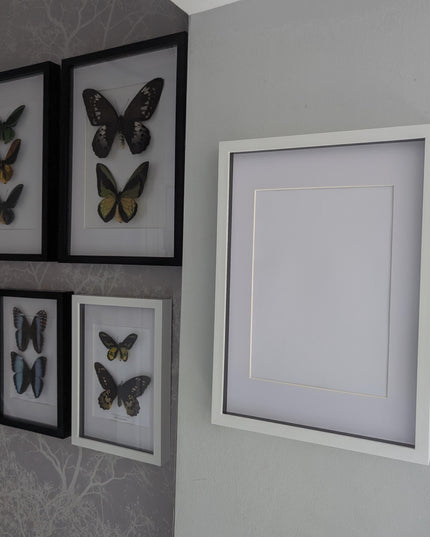 White a3 3d box photo frame: shadow picture frame with mount