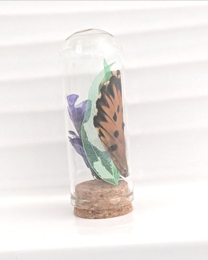 Butterfly wing glass dome: pressed flower nature keepsake