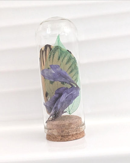Butterfly wing glass dome: pressed flower nature keepsake