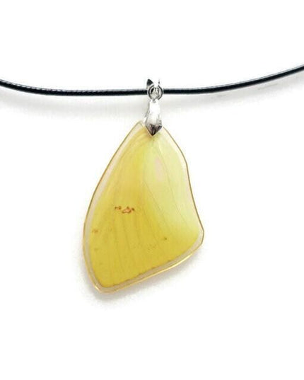 Real yellow butterfly wing pendant: resin coated choker