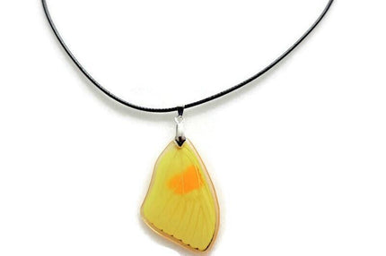 Real yellow butterfly wing pendant: resin coated choker