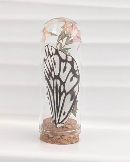 Pressed pink flowers & butterfly wing glass dome: nature keepsake
