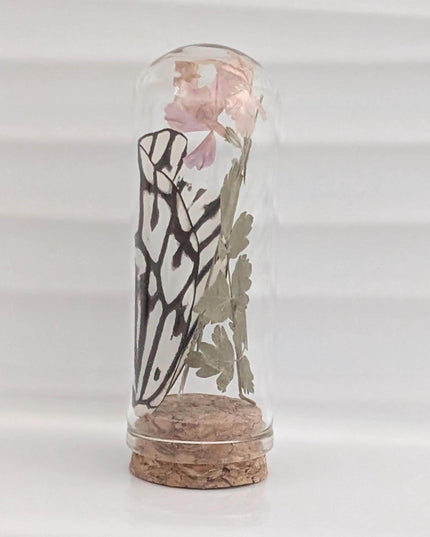 Pressed pink flowers & butterfly wing glass dome: nature keepsake