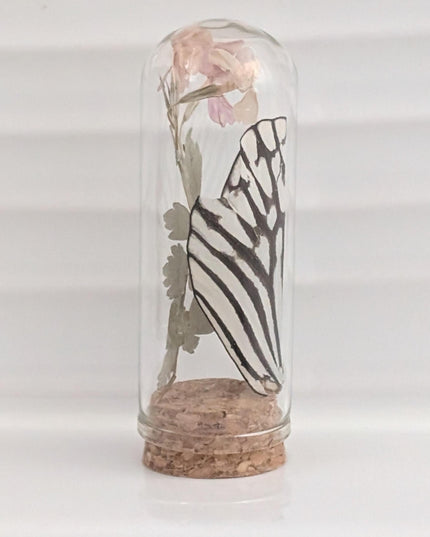 Pressed pink flowers & butterfly wing glass dome: nature keepsake