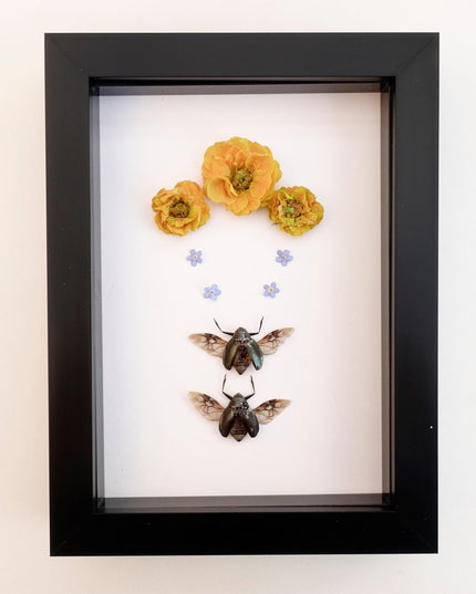 Framed dried flower & insect art: yellow floral botanical display (8x5")