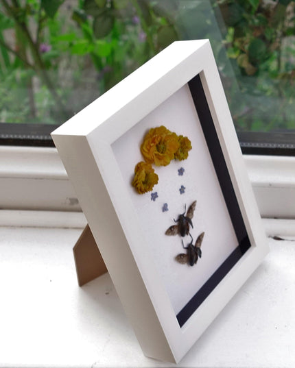 Framed dried flower & insect art: yellow floral botanical display (8x5")