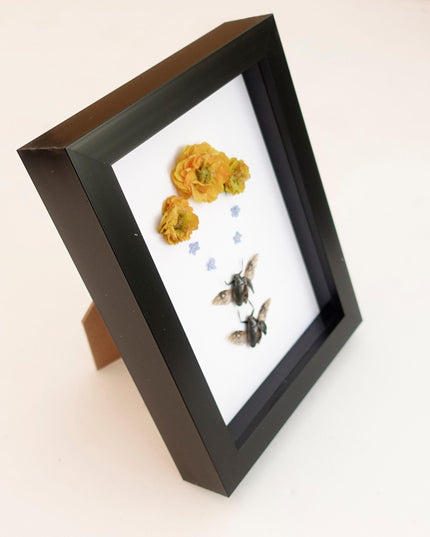 Framed dried flower & insect art: yellow floral botanical display (8x5")