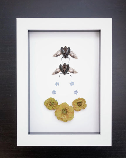 Framed dried flower & insect art: yellow floral botanical display (8x5")