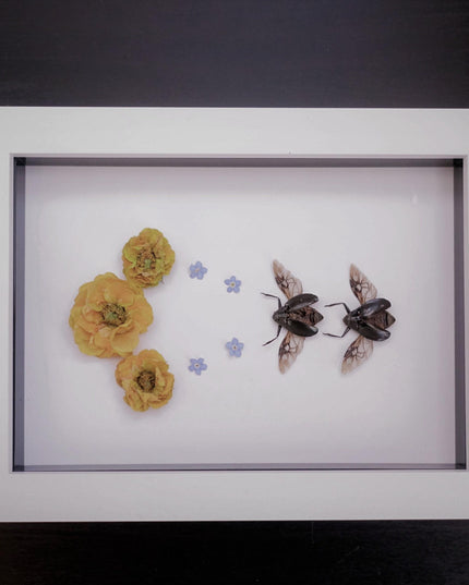 Framed dried flower & insect art: yellow floral botanical display (8x5")