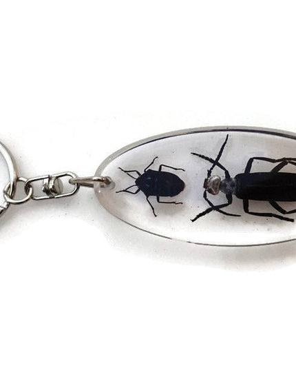 Resin beetle keyring: indonesian scarab & jewel bugs