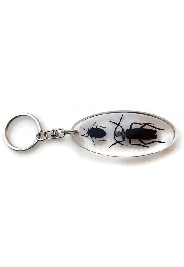 Resin beetle keyring: indonesian scarab & jewel bugs