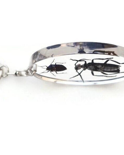 Resin beetle keyring: indonesian scarab & jewel bugs
