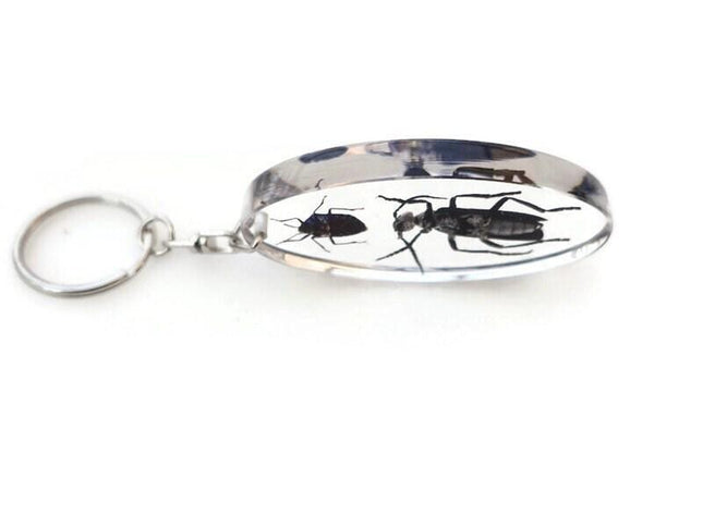 Resin beetle keyring: indonesian scarab & jewel bugs