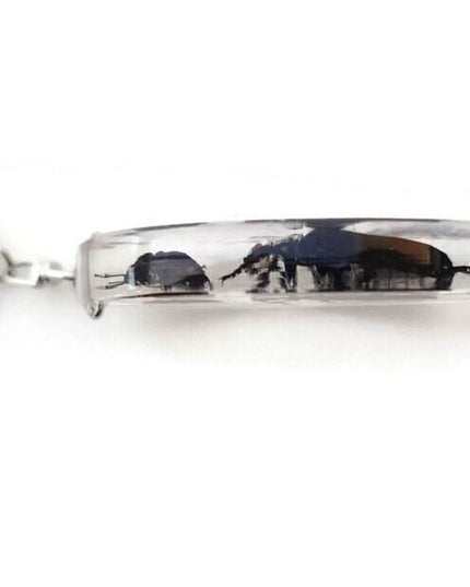 Resin beetle keyring: indonesian scarab & jewel bugs