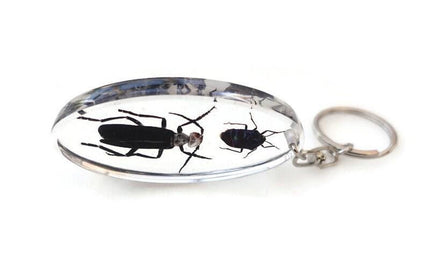 Resin beetle keyring: indonesian scarab & jewel bugs