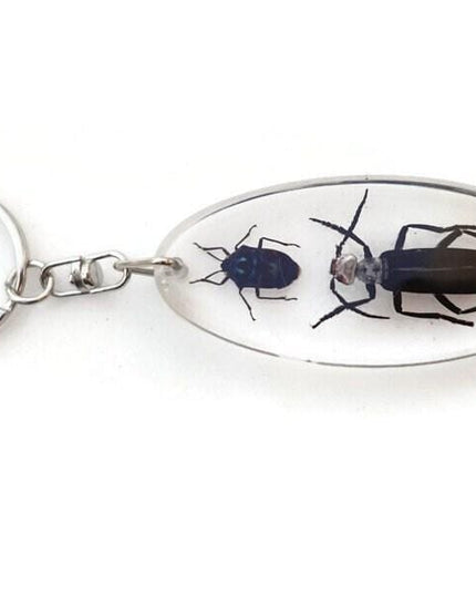 Resin beetle keyring: indonesian scarab & jewel bugs