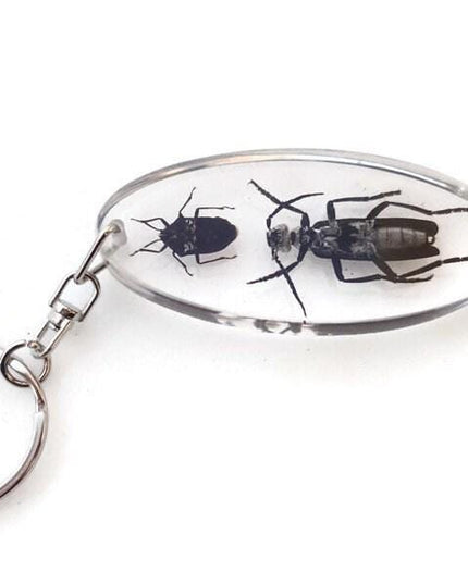 Resin beetle keyring: indonesian scarab & jewel bugs